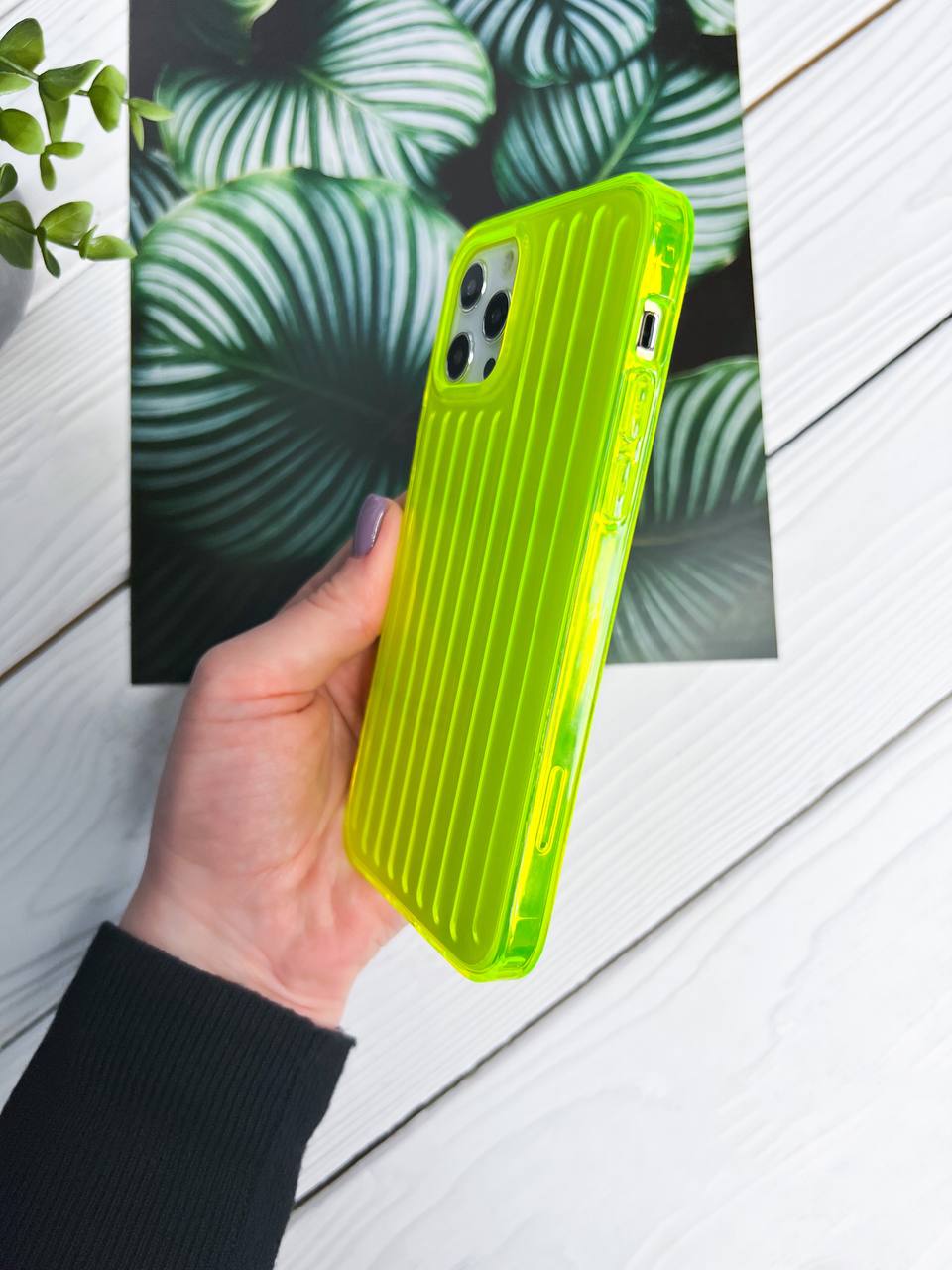 photo_4_2023-10-23_15-28-16