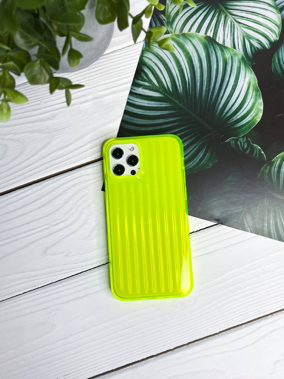 photo_2_2023-10-23_15-28-16